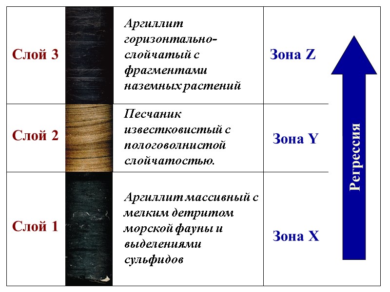 Аргиллит массивный с мелким детритом морской фауны и выделениями сульфидов Песчаник известковистый с пологоволнистой